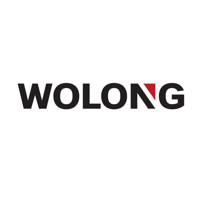WOLONG臥龍電氣